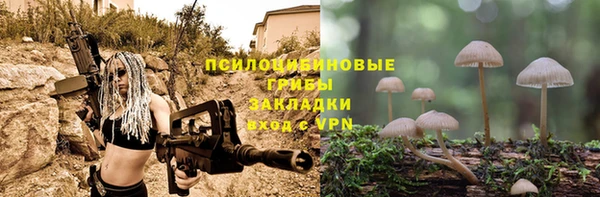 бошки Алзамай