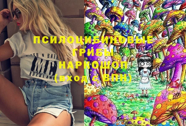 бошки Алзамай